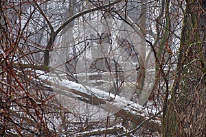 A view of fog on a river - Vah Slovakia