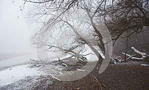 A view of fog on a river - Vah Slovakia