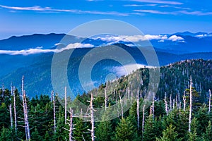 View of fog in the Smokies from Clingman's Dome Observation Towe photo