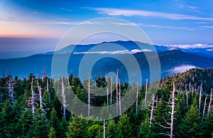 View of fog in the Smokies from Clingman's Dome Observation Towe photo