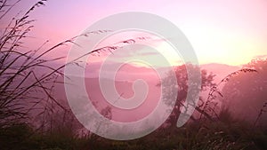 View of foggy sunrise on the Little Adam's Peak in Ella, Sri Lanka