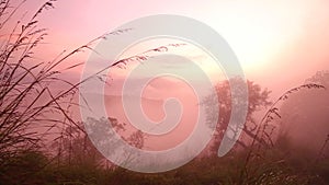 View of foggy sunrise on the Little Adam's Peak in Ella, Sri Lanka