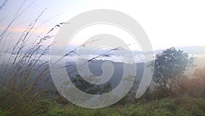 View of foggy sunrise on the Little Adam's Peak in Ella, Sri Lanka