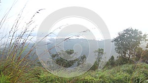 View of foggy sunrise on the Little Adam's Peak in Ella, Sri Lanka