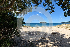 A view through foliage of Hauturu island from whangamata beach on the north island of new Zealand 6