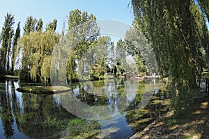 View of the Fonti di Clitunno in Italy