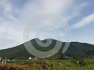 view from the foot of the mountain in the day time