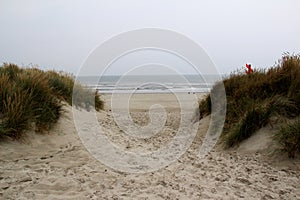 View on a foot path through the dunes at the northern sea island juist germany