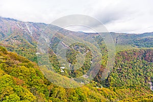 View of forest in autumn season on cable car at Akechidaira plat