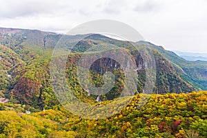 View of forest in autumn season on cable car at Akechidaira plat