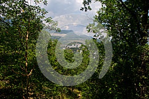 View of the forest on a beautiful mountain