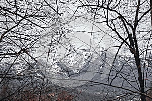 View from the forest through the branches on the mountains
