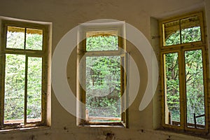 View the forest from the interior of the abandoned hospital