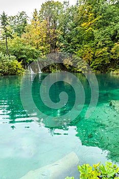 View of forest lake with transparent turquoise water with wooden