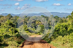 View of the forest and the mountains of Aberdare