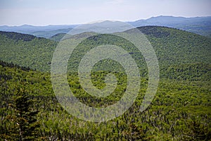 View of forest, mountains, road from Whiteface Mountain in the State New York  USA