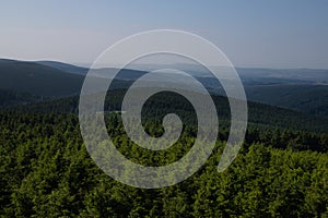 View at the forest near Velka Destna in Orlicke Mountains