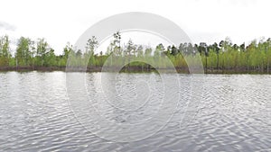 View from the forest river to the shore during the flood