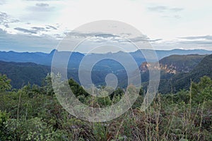 View of the forest texture of green trees and hills from above at dusk