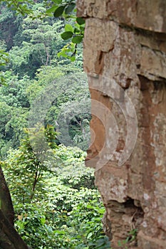 View of forest at Tirathgarh Waterfall from the cliffs side