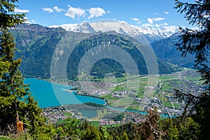 View through the forest to the tourist resort of Interlaken