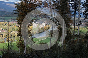 View Through Forest Trees