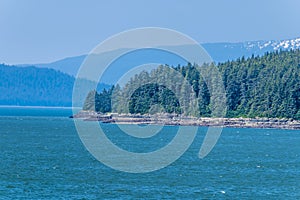 A view of the forested shoreline looking up the Gastineau Channel on the approach to Juneau, Alaska