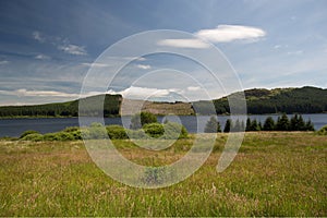 View of Forestry Clearance Over Loch Doon in Ayrshire Scotland