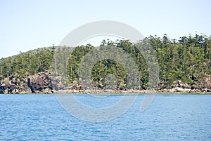 View on the forests of australia