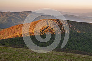 View at forests in Bukovec mountains in Slovakia in Poloniny