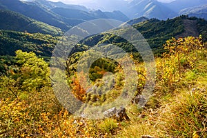 View at forests of Starohorske vrchy at Jelenska skala rock