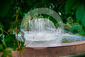 View of the fountain through the green leaves of trees