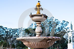 View of the fountain outside of the California Academy of Sciences in Golden Gate Park.