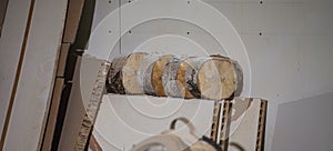 View of four cut round logs from birch's tree trunk in the carpenter workshop