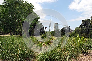 A view from Fragrance Garden on the construction of a new skyscraper