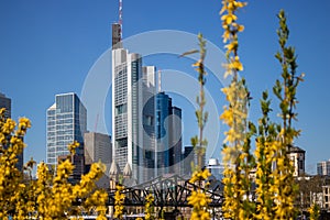 View of the Frankfurt skyline across the Main river in Frankfurt, Germany, urban cityscape