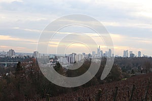View of the Frankfurt Skyline from the Lohrpark