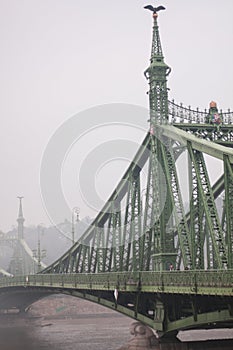 view of the Freedom Bridge Budapest