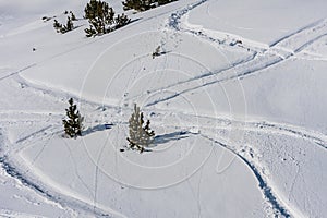 View of Freeride tracks on powder snow