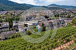 View of Freiburg im Breisgau city in Germany.