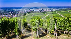 View from Fremersberg to the town of Sinzheim with the Rhine valley near Baden Baden. Baden Wuerttemberg, Germany photo