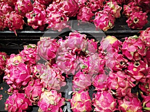 The view of fresh dragon fruits in the box at Supermarket