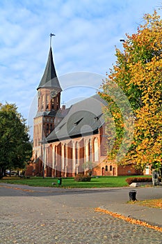 View of the Friedland gates of the park in the city of Kaliningrad