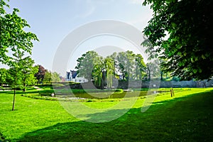 View of the frog pond in Rees