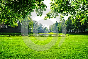 View of the frog pond in Rees