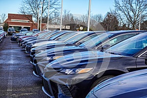 View of the fronts of a row of various colored new cars in a parking lot.