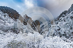 View of the frozen forest in Huangshan National park.