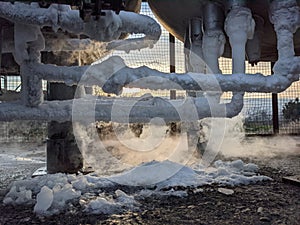 View of a frozen pipelines