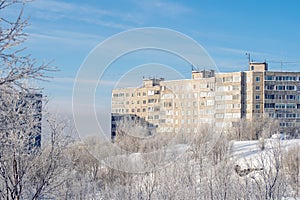 View of the frozen trees forest in winter