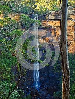 View of Fttzroy Waterfall Through Native Eucalyptus Tree Forest, Australia
